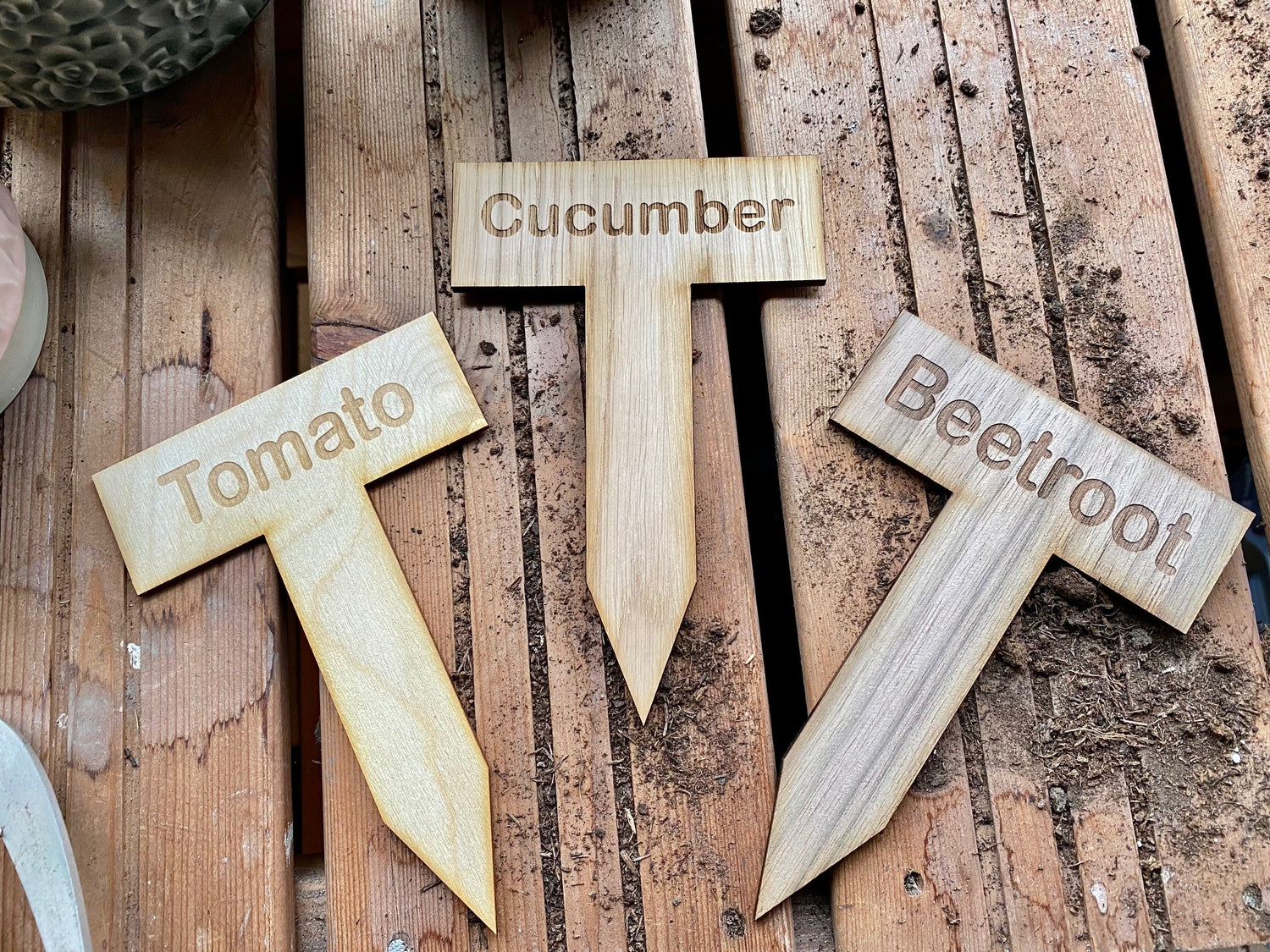 Rectangular labels with Arial rounded font and a spike to stick in the ground. Cut from veneered MDF.