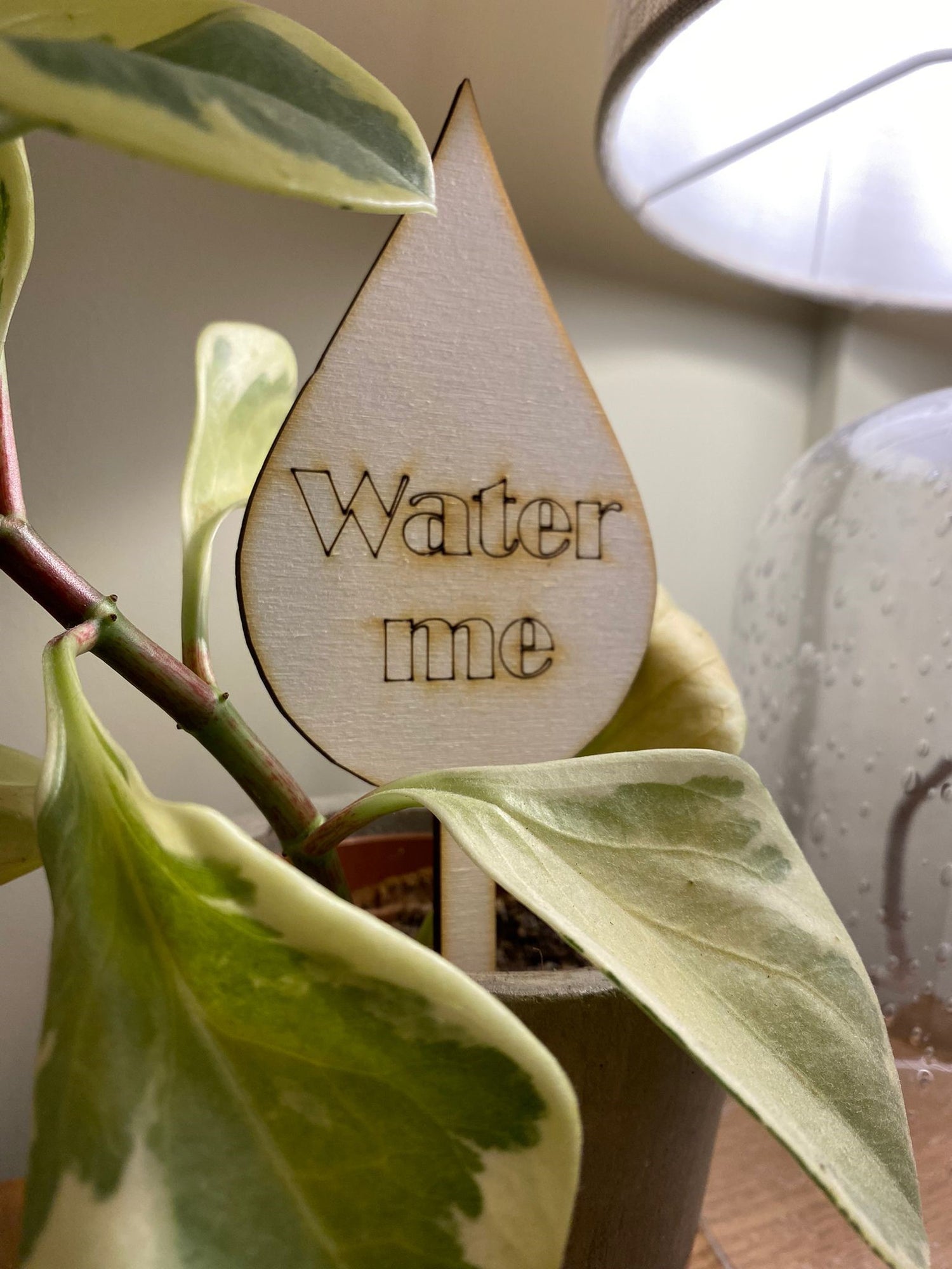 plant pot sign 'Water me' plant pot sign