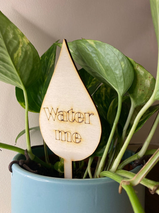 'Water me' plant pot sign